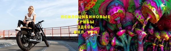 MDMA Premium VHQ Бронницы