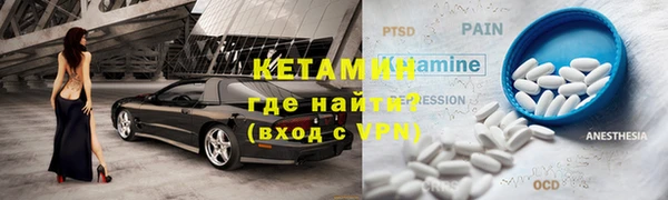 стаф Бородино