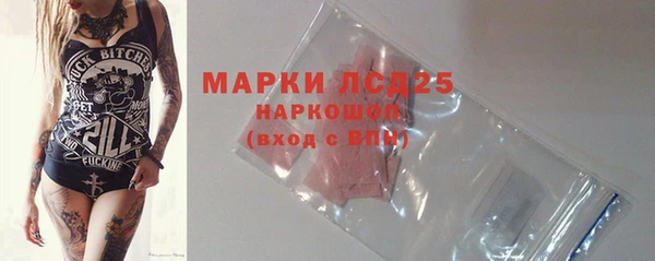стаф Бородино