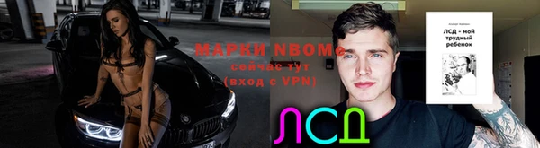 гидра Елизово