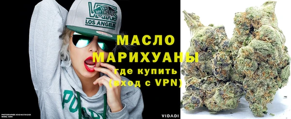 стаф Бородино