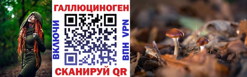 закладки  Новохопёрск  Псилоцибиновые грибы ЛСД 